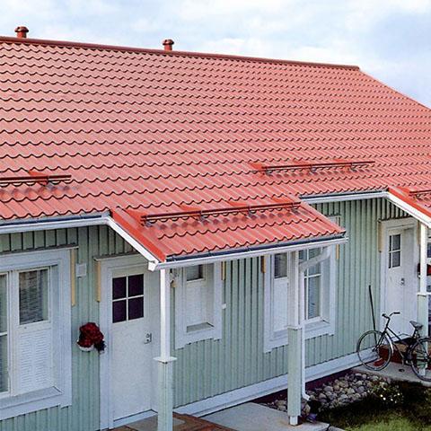 Планка снегозадержания