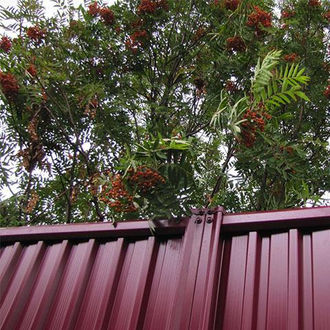 Модульные ограждения